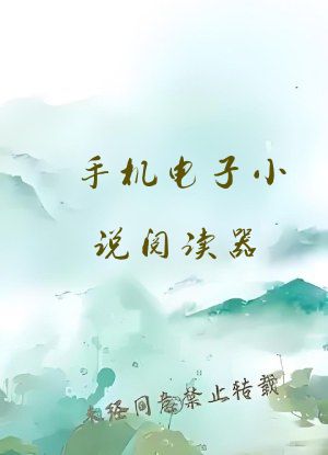 手机电子小说阅读器