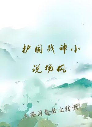 护国战神小说杨风