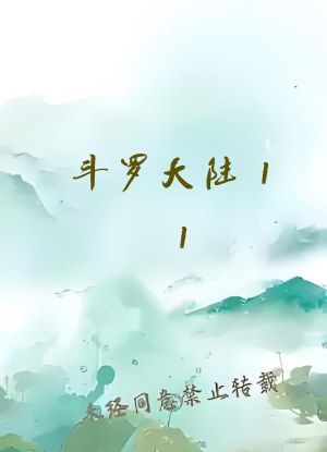 斗罗大陆11