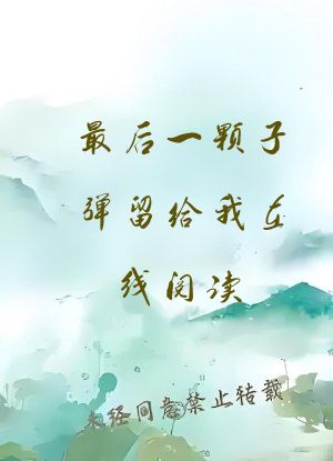 最后一颗子弹留给我在线阅读