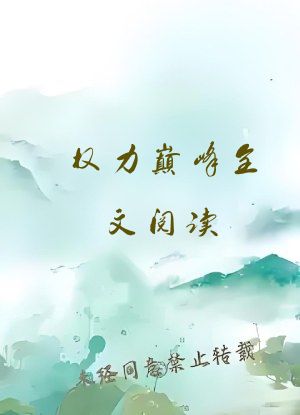 权力巅峰全文阅读