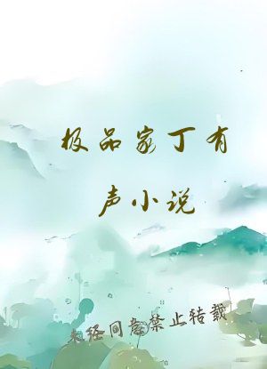 极品家丁有声小说