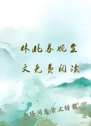 林北苏婉全文免费阅读