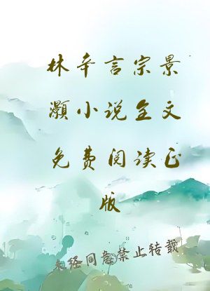 林辛言宗景灏小说全文免费阅读正版