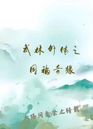 武林外传之同福奇缘