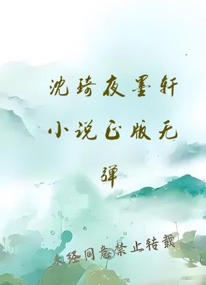 沈琦夜墨轩小说正版无弹
