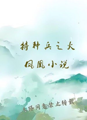 特种兵之火凤凰小说