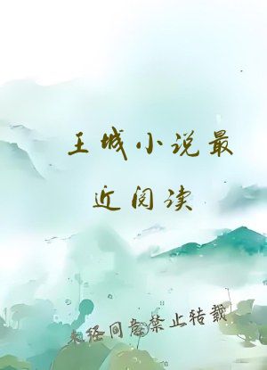 王城小说最近阅读