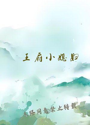 王府小媳妇