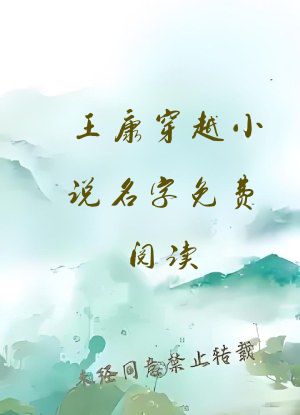 王康穿越小说名字免费阅读