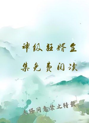 神级狂婿全集免费阅读
