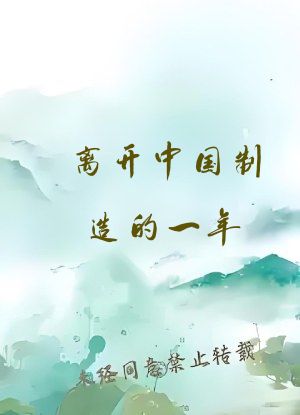 离开中国制造的一年