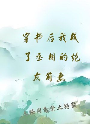 穿书后我成了丞相的炮灰前妻