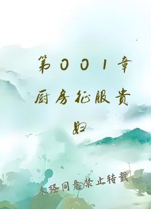 第001章厨房征服贵妇