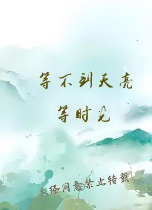 等不到天亮等时光