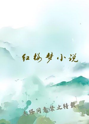 红楼梦小说