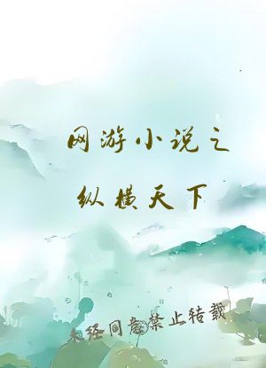 网游小说之纵横天下