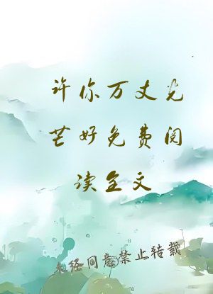 许你万丈光芒好免费阅读全文
