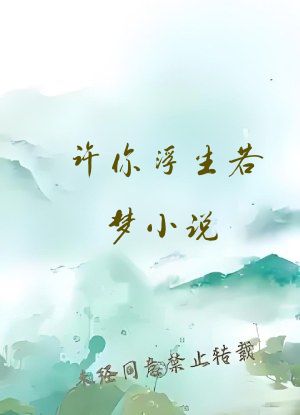 许你浮生若梦小说