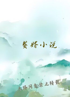 赘婿小说
