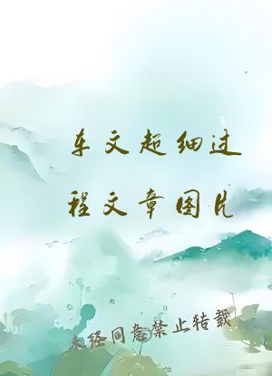 车文超细过程文章图片