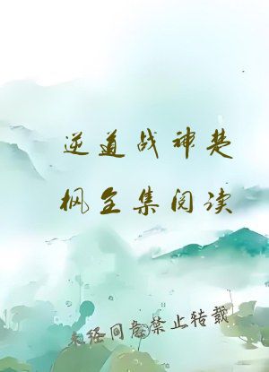 逆道战神楚枫全集阅读