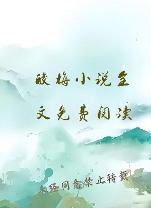 酸梅小说全文免费阅读