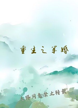 重生之军婚