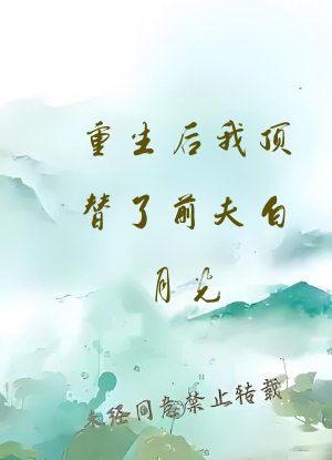 重生后我顶替了前夫白月光