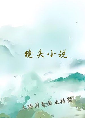 镜头小说
