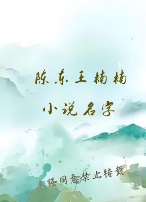 陈东王楠楠小说名字