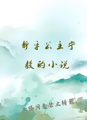 静平公主宁毅的小说