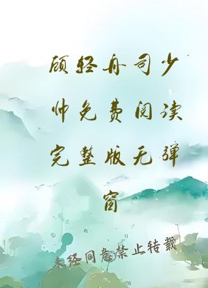 顾轻舟司少帅免费阅读完整版无弹窗