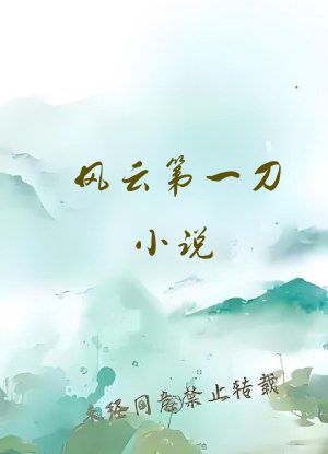 风云第一刀小说