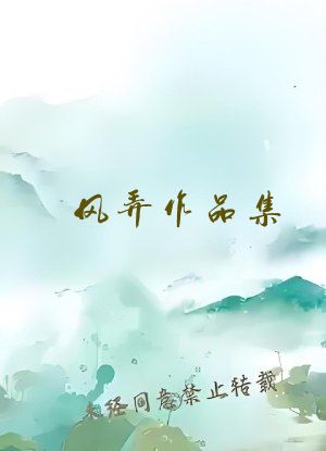 风弄作品集